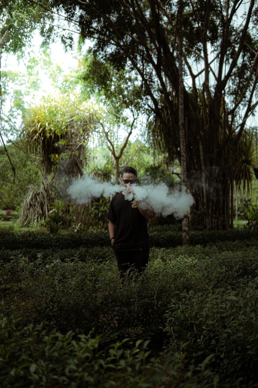 disposable vape