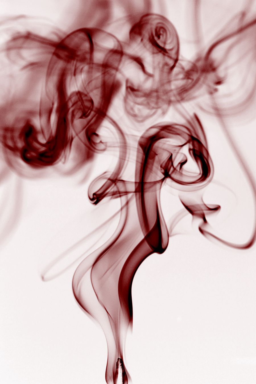 RDA