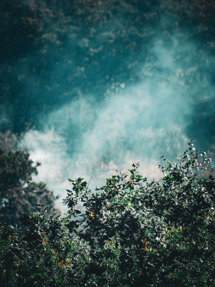 disposable vape